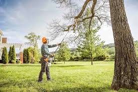 Best Weed Control  in Shady Cove, OR