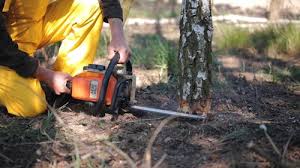 Best Soil Testing and Treatment  in Shady Cove, OR