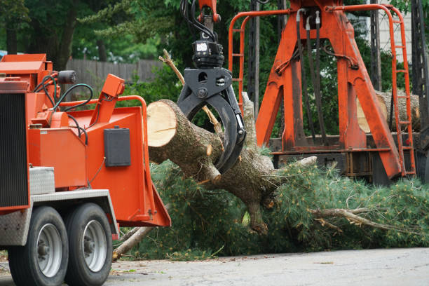 Best Lawn Watering Services  in Shady Cove, OR